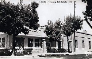 Les Issers - Tabacoop de la Kabylie - 1956